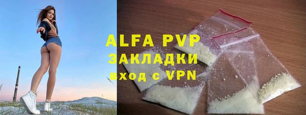эйфоретик Бородино