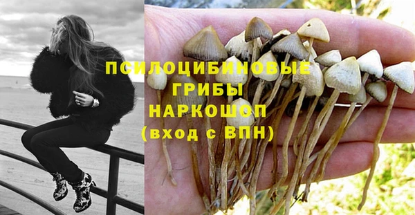 эйфоретик Бородино